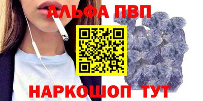 индика Кингисепп