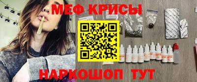 индика Кингисепп