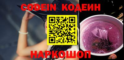индика Кингисепп