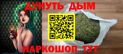 индика Кингисепп