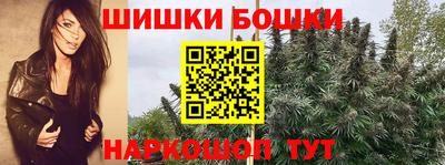 индика Кингисепп