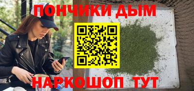 индика Кингисепп