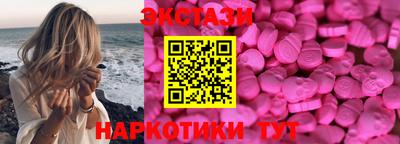 индика Кингисепп