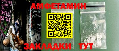 индика Кингисепп