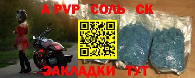 индика Кингисепп