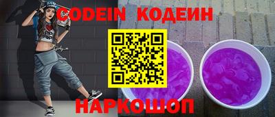 индика Кингисепп