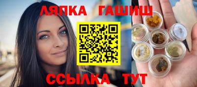 индика Кингисепп