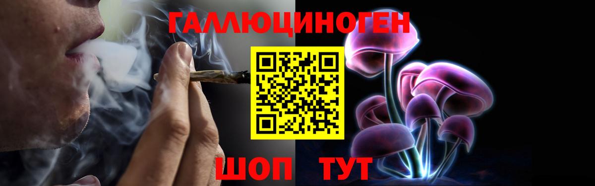 Галлюциногенные грибы Psilocybe  Вход с VPN  Галлюциногенные грибы GOLDEN TEACHER  где найти   Александров 